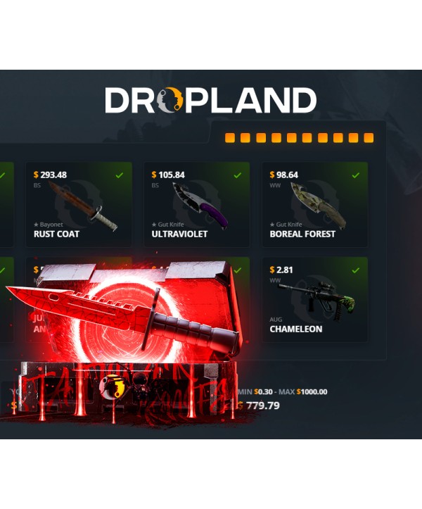 Stattrak Vs. Stattrak Knife Random CS2 Skin Case Dropland.net Key GLOBAL